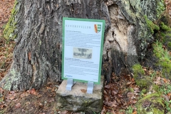 panneau-gros-chene-1-768x1024