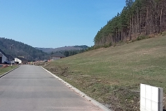 6a37bfcd2b125e5c4d0ee440ba2b2482-1